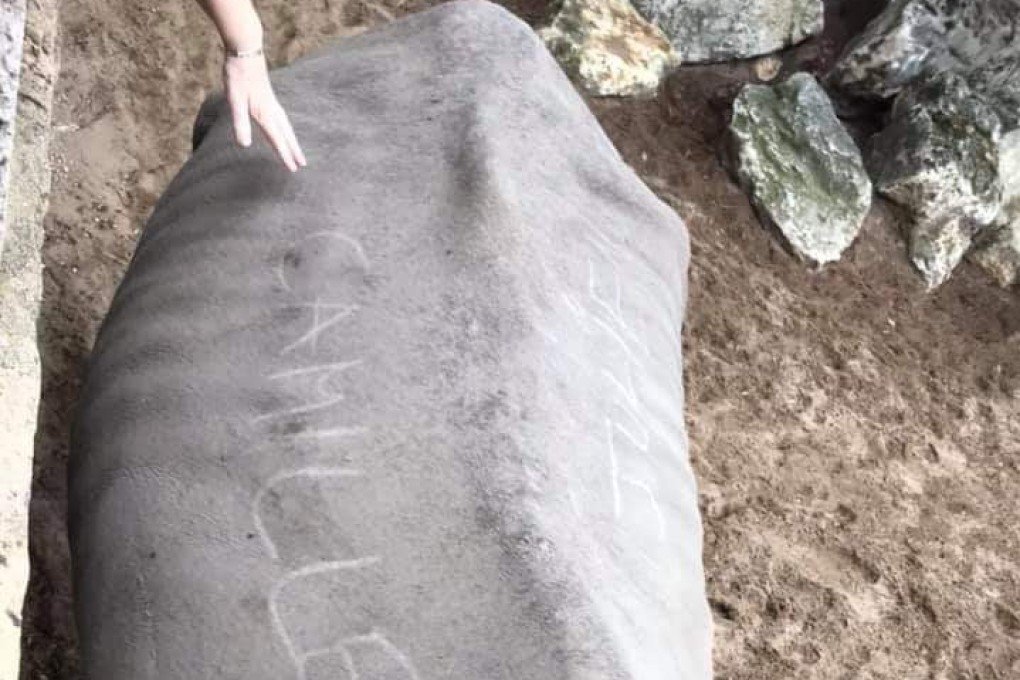 Photos of the rhino with words on its back were widely shared on social media. Photo: Twitter
