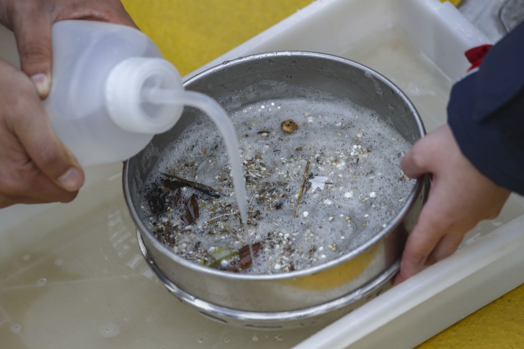 Samples of microplastics collected from the seas around Hong Kong last year. Photo: Nora Tam
