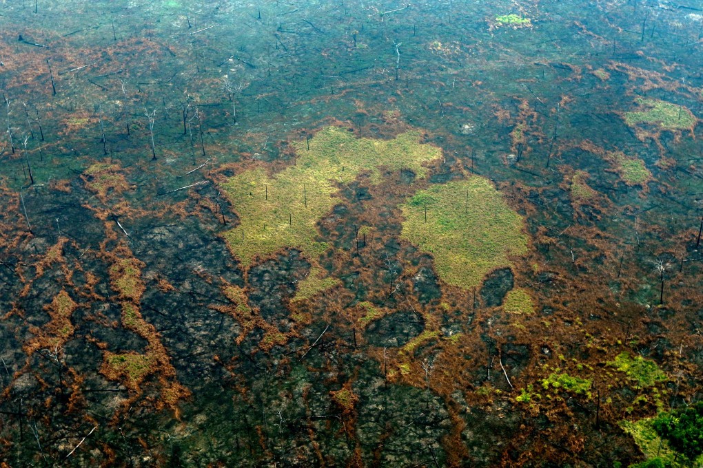 Burnt areas of the Amazon rainforest, near Boca do Acre, Amazonas state, Brazil. Photo: AFP