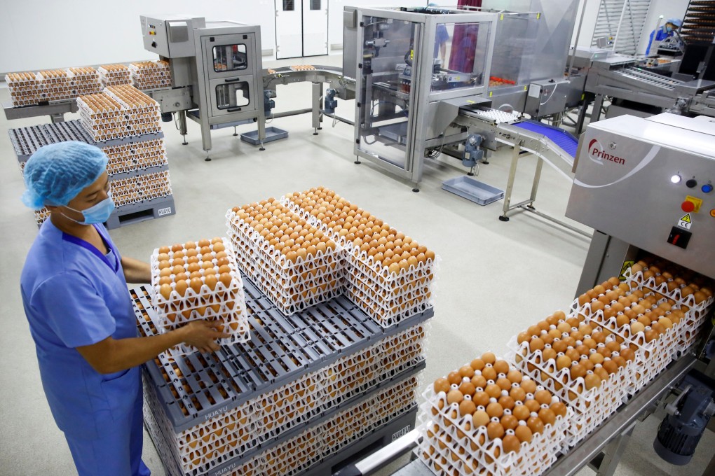 The government is asking poultry breeders to throw away 10 million eggs or give them away for free in an attempt to support slumping chicken prices. Photo: Reuters