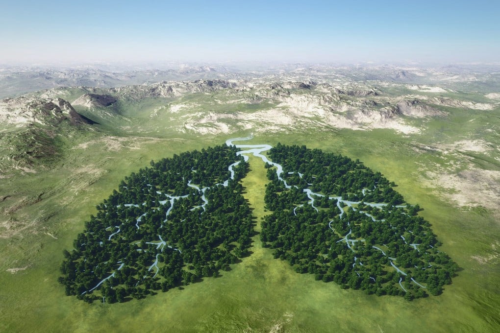 Lungs of the planet.