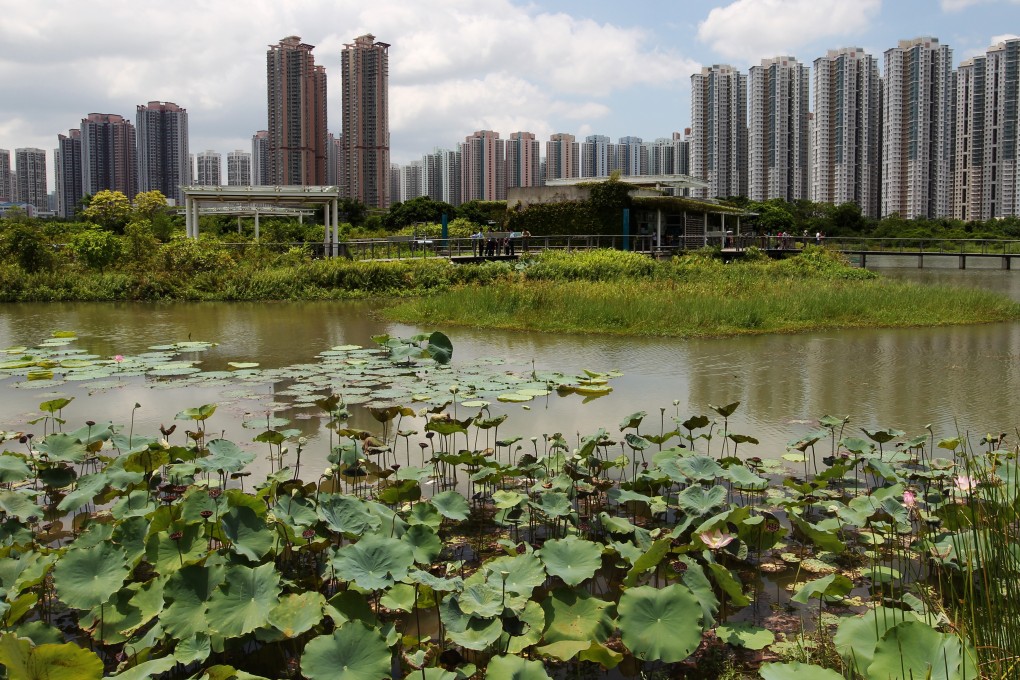 A dark nickname, oysters and wetlands: Tin Shui Wai before Hong Kong’s