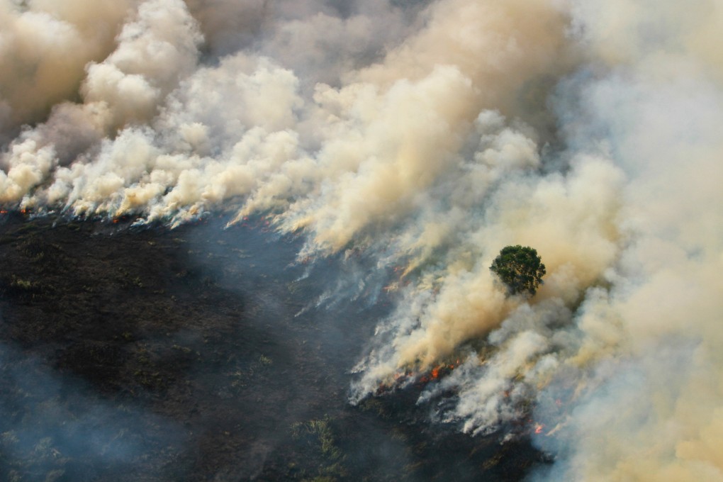 Smoke billows from a forest fire burning in Indonesia’s South Kalimantan province last week. Photo: Reuters