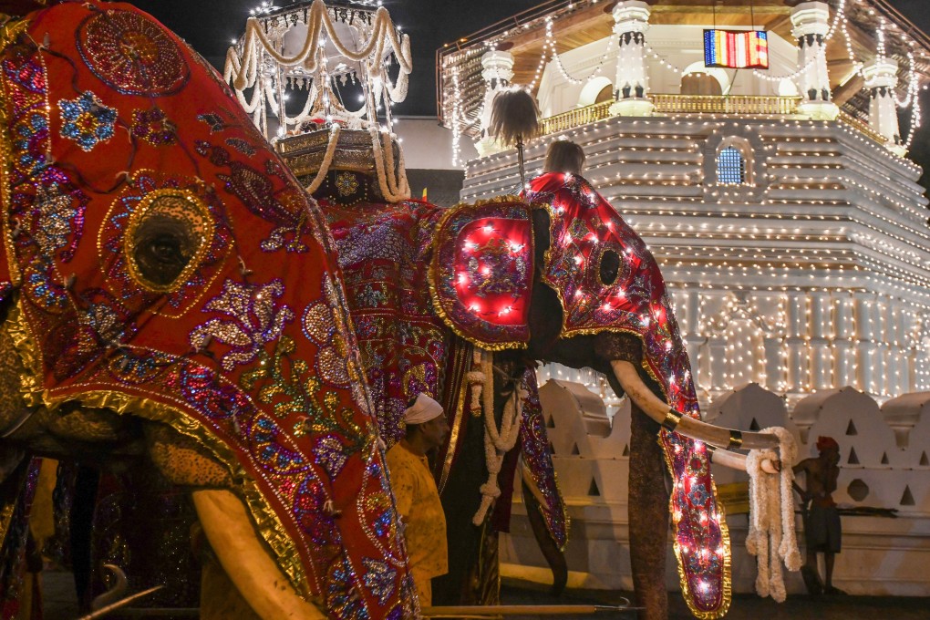 Elephants are regularly used in Sri Lankan Buddhist pageants, like these ones decorated for the Esala Perahera festival in August. Photo: AFP