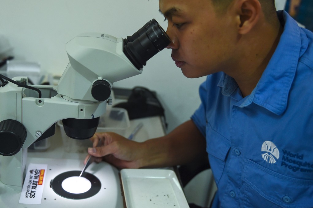 A laboratory assistant examines mosquito samples at the Pasteur Institute in the southern Vietnamese city of Nha Trang. Photo: AFP