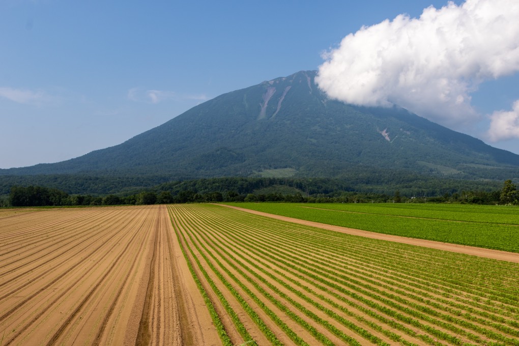 Mount Yotei is a popular destination for travellers both in winter and summer. Photo: Niseko Photography and Guiding