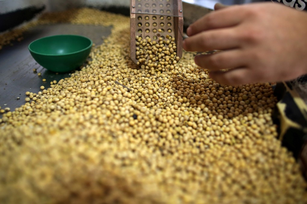 Soy beans are seen at a Grobocopatel Hermanos company storage plant in Carlos Casares, Argentina, in April 2018. Photo: Reuters