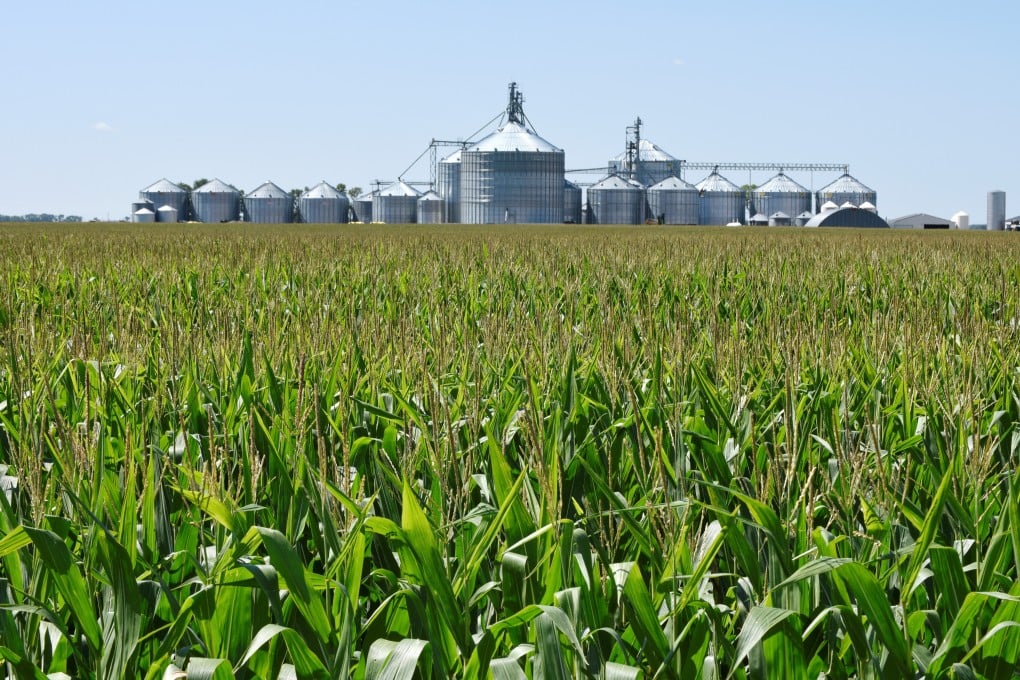 China’s interest in buying US agricultural products will be supported by a personal visit by a member of China’s negotiating team to Midwestern farm states next week. Photo: Reuters