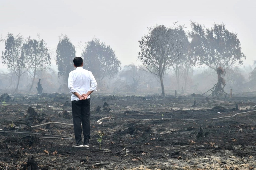 Indonesian President Joko Widodo inspects a burned forest in Pekanbaru, Riau. Smoke from the fires has now impacted neighbouring countries Singapore and Malaysia. Photo: EPA-EFE