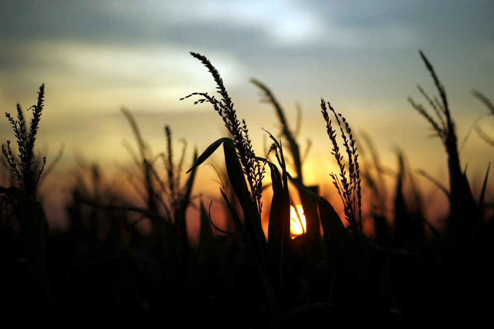 Chinese trade officials were supposed to visit Montana and Nebraska, but cancelled their trip on Friday. Photo: Reuters