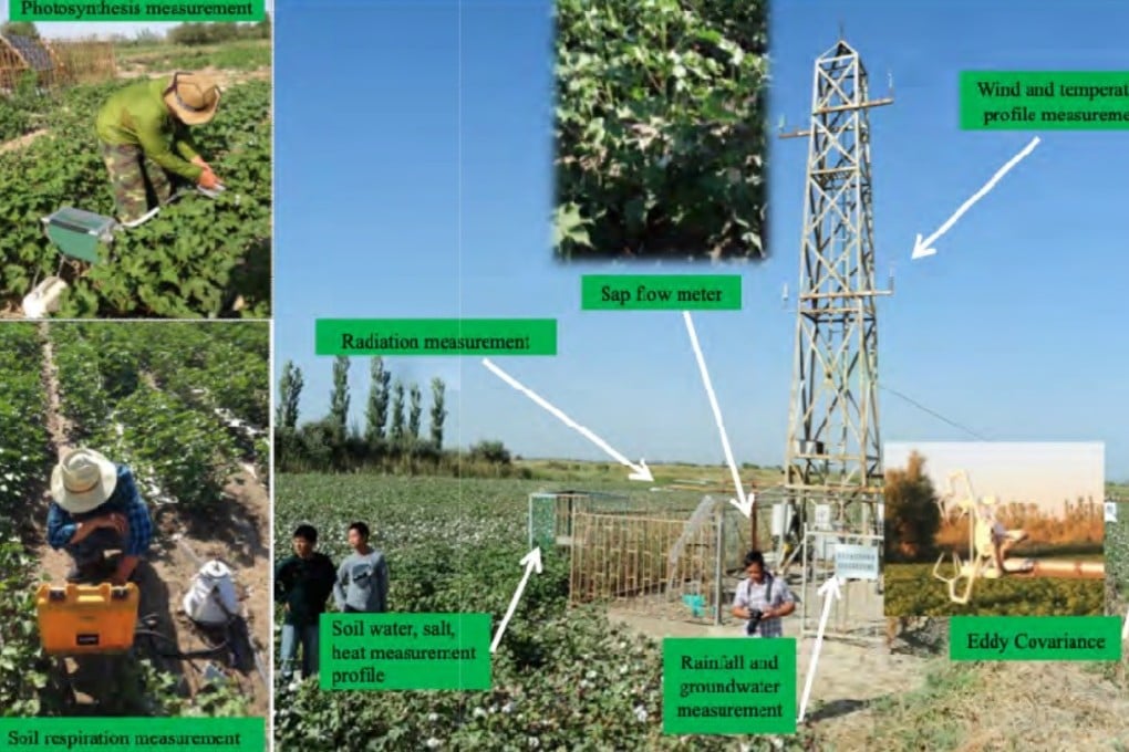 One of the team’s experimental stations at a cotton farm in Xinier, in the far western Xinjiang region. Photo: ICID