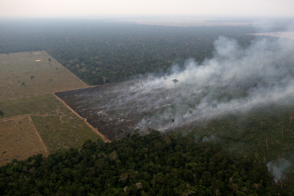 Between September 18 and 19, the number of forest fires in Brazil’s Rondonia state jumped to 242 from 12 just the day before, an increase of 1,915 per cent. Photo: Reuters