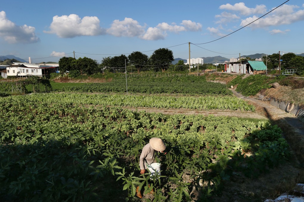 A farmer works on his crops at Kwu Tung North as of 4 July 2013. Photo: SCMP