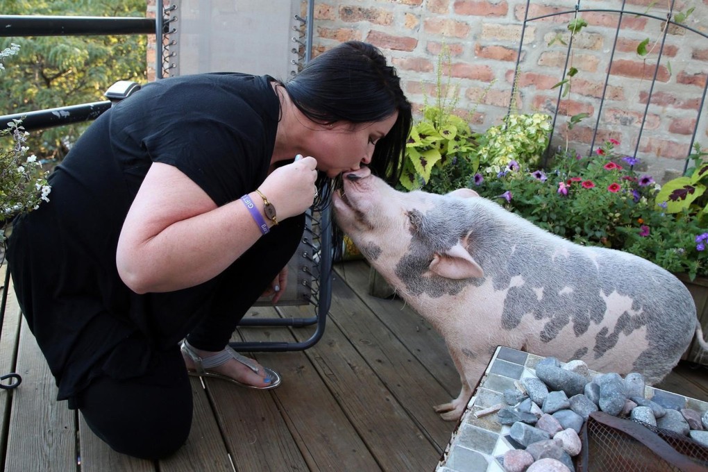 Caitlyn Isham gives her pet pig, Porkchop, a kiss at home in Chicago. He has to go to a “special vet”, she says, and the last visit cost US$800, but unlike 42 per cent of US millennials surveyed, she has not gone into pet-related debt. Photo: TNS