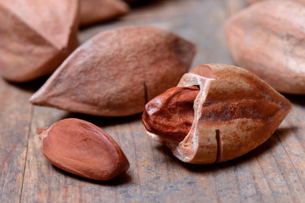 Pili nuts are the latest superfood, and have a number of nutritional qualities. Keto diet followers like them for their high fat content. Photo: Alamy