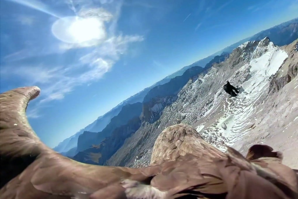 A screen grab of aerial footage a glacier in western Europe taken by a camera attached to an eagle. Photo: Eagle Wings Foundation/Chopard via AP