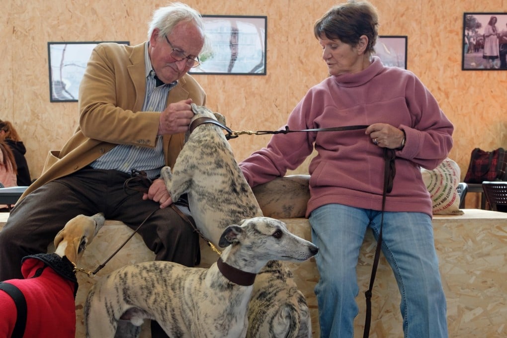 Keeping dogs boosts your mental and physical health and helps you live longer, a new study of research into the benefits of having pet dogs concludes. Photo: Alamy