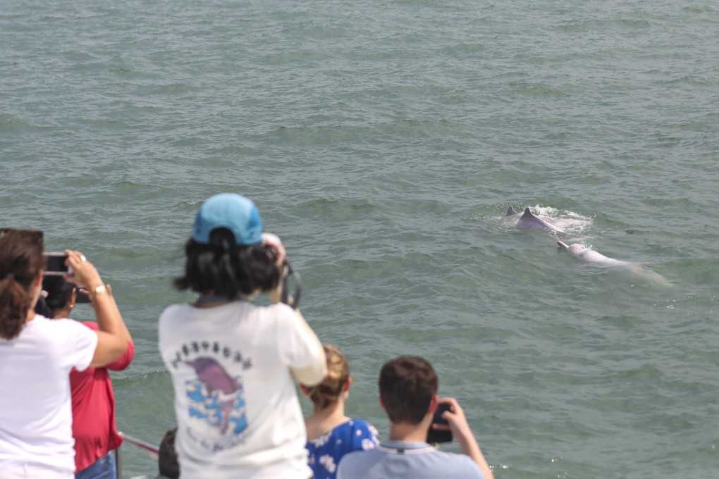 Tourists on the Hong Kong Dolphin Watch tour around Lantau Island on October 9. Photo: Xiaomei Chen