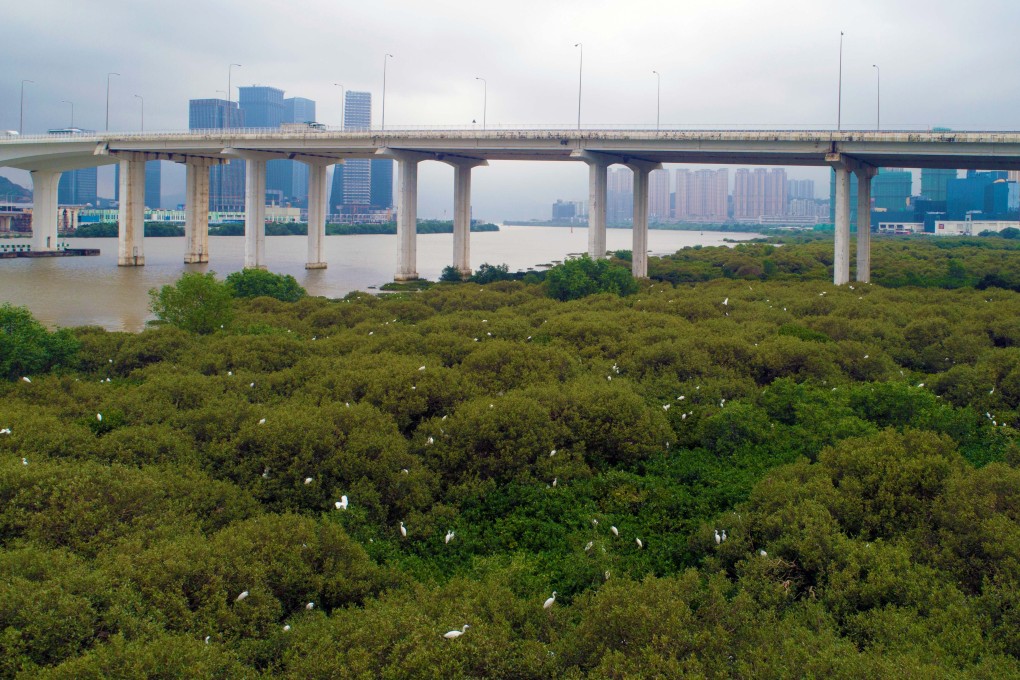 Macau is hoping to open a new yuan-denominated stock exchange. Photo: Xinhua