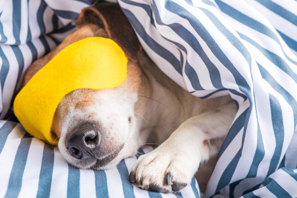 When it works, a nap can be the best thing in the world.