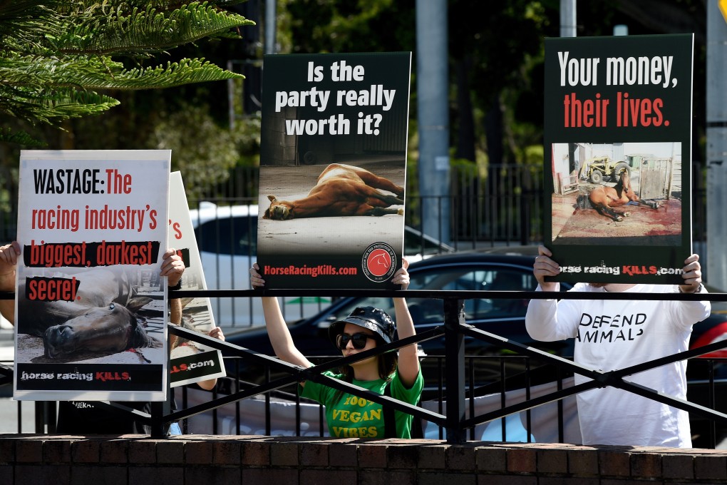 People protest against the treatment of race horses during The TAB Everest race day at the Royal Randwick Racecourse in Sydney on Saturday. Photo: EPA