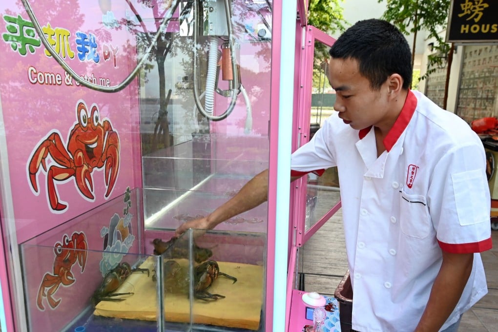 A restaurant worker loads crabs into the seafood restaurant’s claw machine in Singapore on Wednesday. Photo: AFP