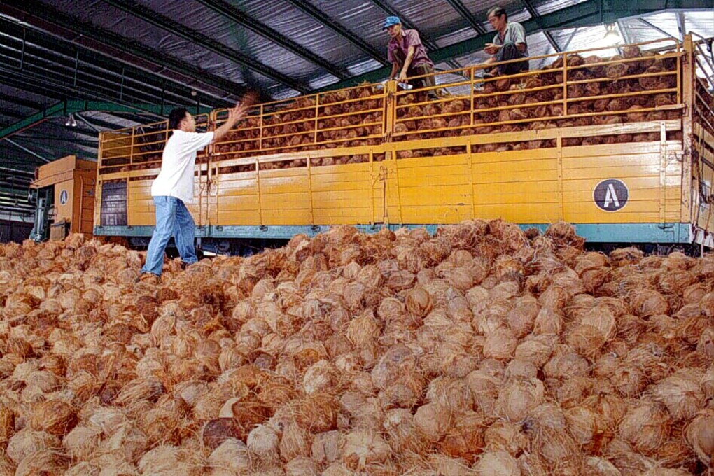 Workers unload coconuts from a trailer in Nibong Tebal, Malaysia. A glut of imports last year left some local farmers unable to sell their stock. Photo: Reuters