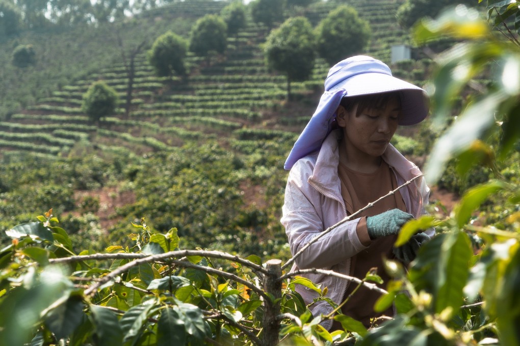 Rural incomes have been in decline since 2014, falling by another 20 per cent in the first half of 2019, says analyst Ma Wenfeng. Photo: Zoe Chen