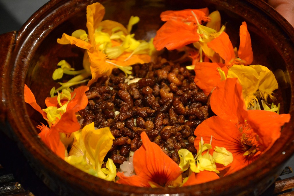 The bee larvae claypot rice at Inua restaurant in Tokyo, Japan, is more expensive than sea urchin and highly nutritious, with a distinct nutty taste and texture.