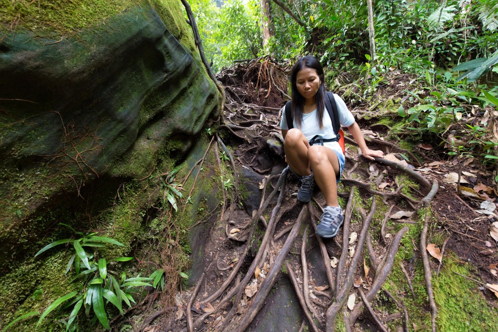 Hiking through deep jungle in Doi Inthanon National Park, where rickety bridges and hidden waterfalls await intrepid explorers. Photo: Alamy