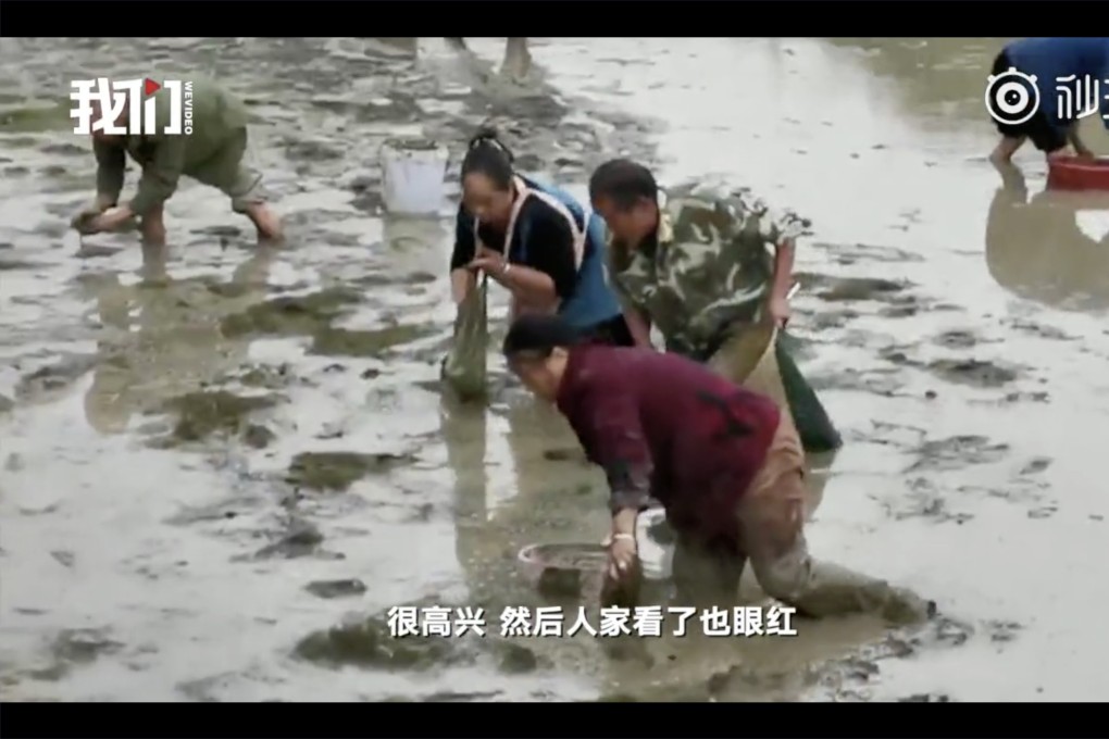 Locals have been stealing the farm’s fish and shrimps. Photo: Handout