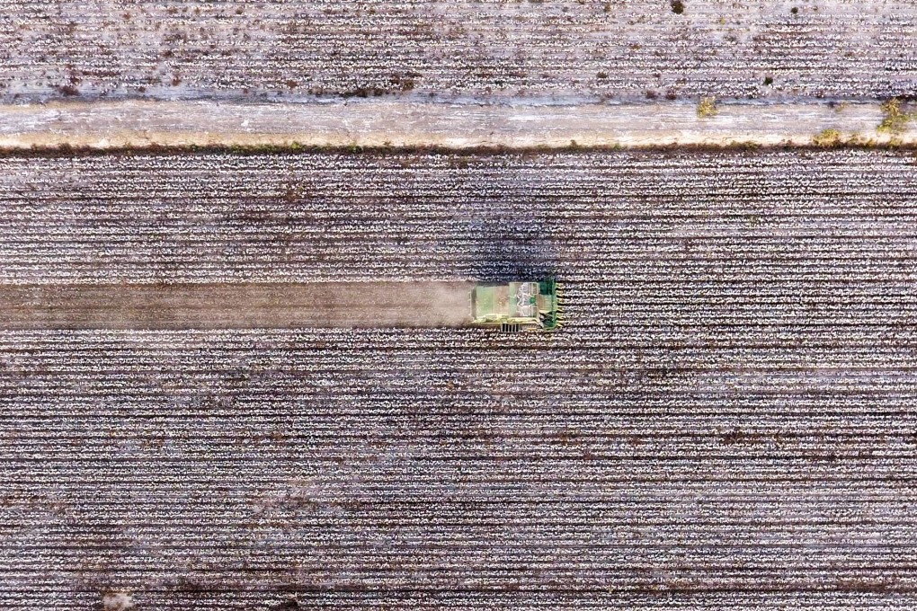 Analysts say it is not possible for China eliminate all tariffs because it was still necessary to protect infant industries such as agriculture. Photo: Xinhua