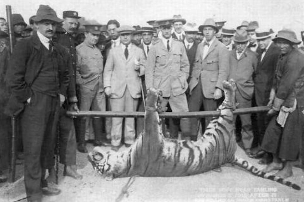 Police officers pose with a tiger that was shot dead in Sheung Shui, in Hong Kong, in 1915.