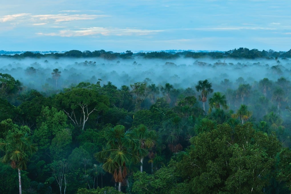 Clouds gather over the Amazon rainforest. Photo: Shutterstock