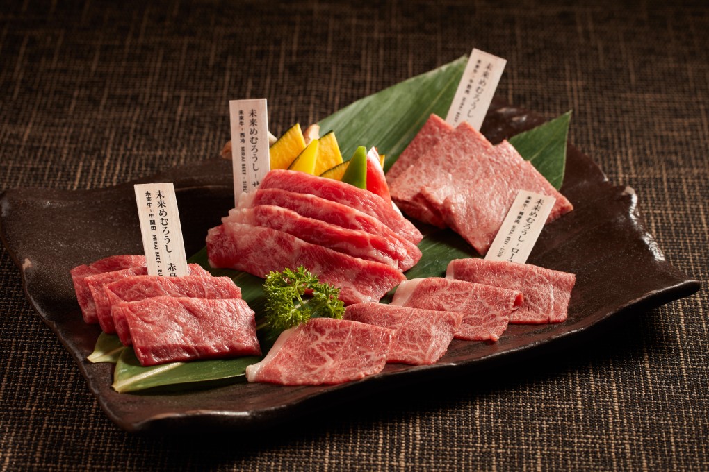 Assorted Mirai beef yakiniku platter at Yakiniku Kagura