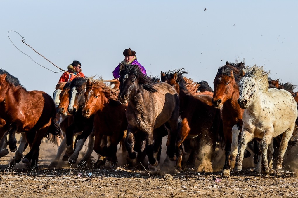 Authorities in the north China region of Inner Mongolia have reported three cases of the plague in less than a week. Photo: Xinhua
