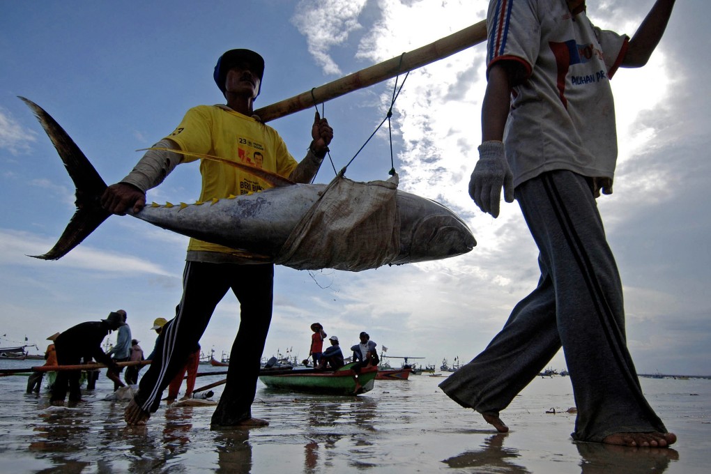 Fishermen unload a fresh catch of tuna in Bali, Indonesia. Photo: AFP