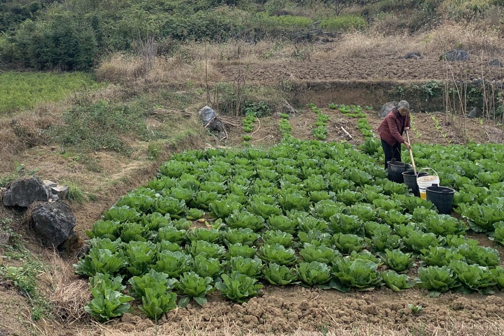 The few remaining residents of a hillside village in central China are embracing the zero waste environmental concept in their homes and fields. Photo: Thomas Yau