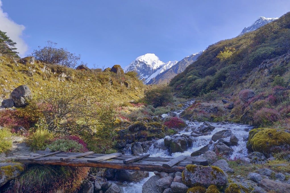 Tree trunks form a bridge along the route to the Goecha La pass in Kanchenjunga National Park, India. Photo: Varsha Torgalkar