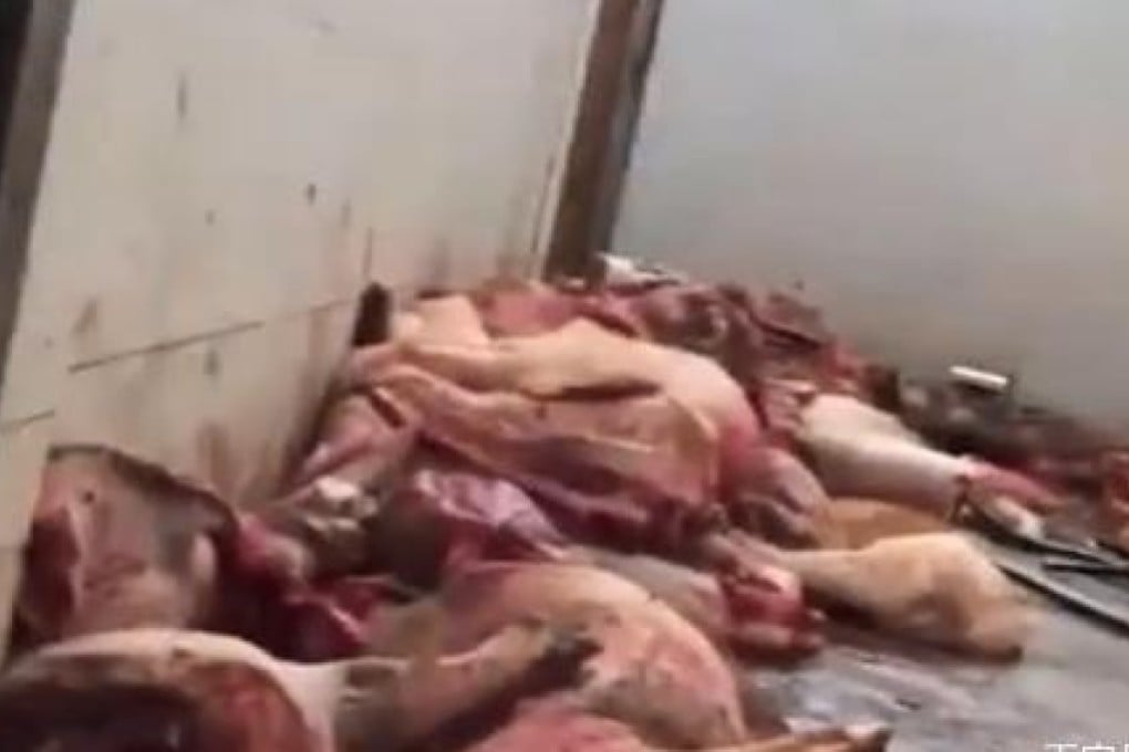 The television footage has prompted an investigation into the processing of pork at the slaughterhouse. Photo: Baidu