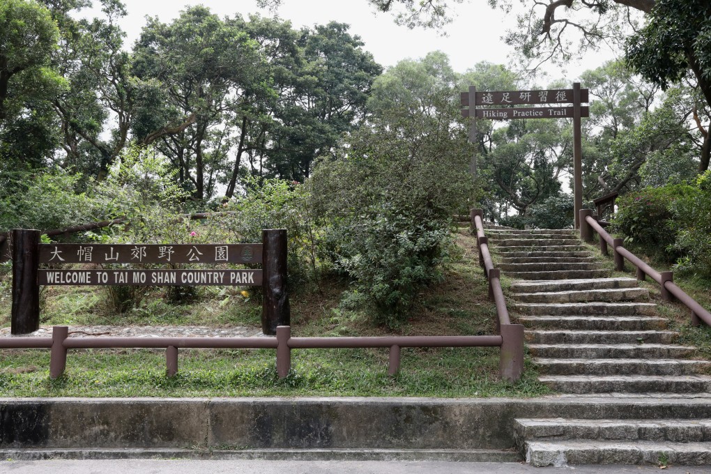 Hiking practice trail at the Tai Mo Shan Country Park.Photo: K. Y. Cheng