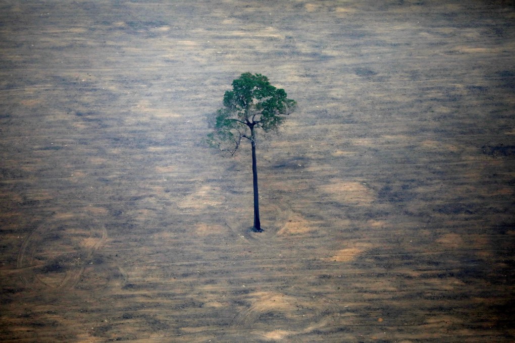 An aerial view shows a deforested plot of the Amazon near Porto Velho, Rondonia State, Brazil. Photo: Reuters