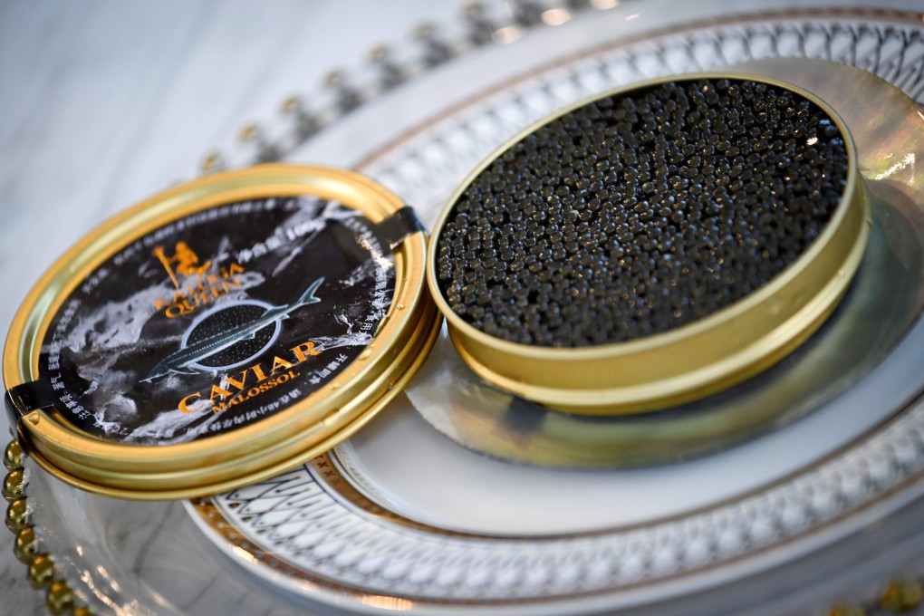 Kaluga Queen’s reputation for caviar brings status to the Chinese industry, admirers say. Photo: AFP