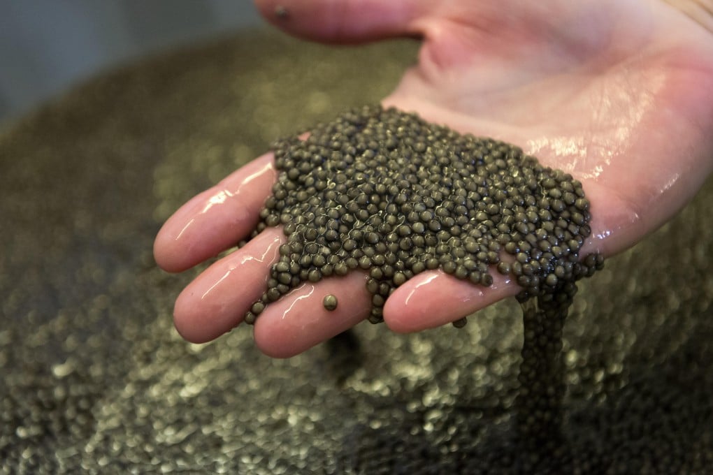 Caviar is also known as black gold. Photo: Alamy