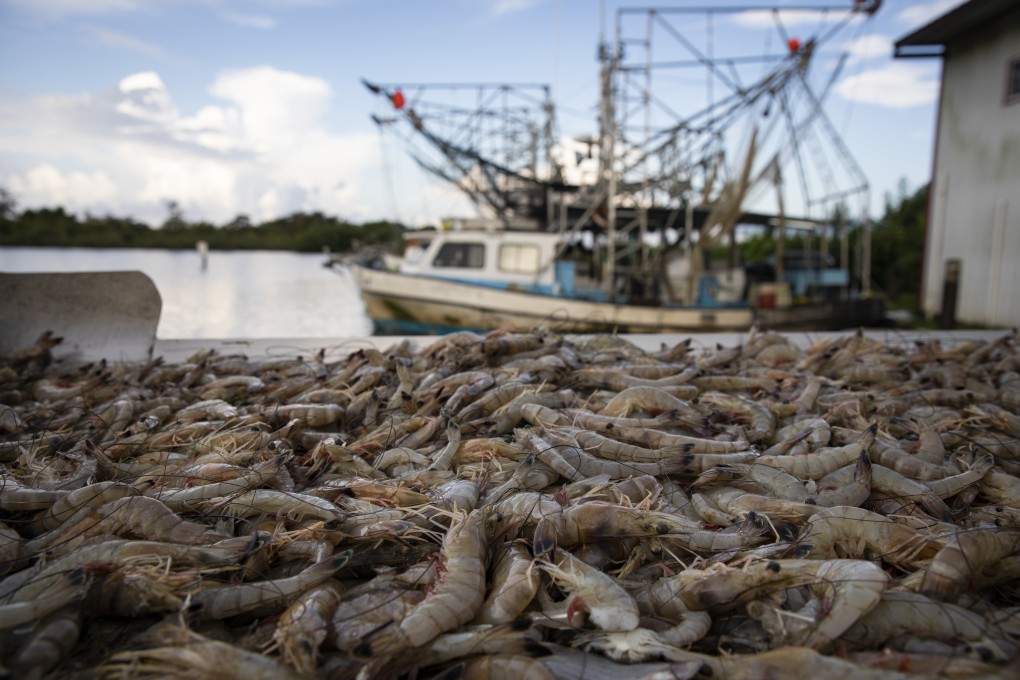 The lawmakers said illegal, unregulated and unreported seafood imports created “unfair competition for US fishermen”. Photo: AFP