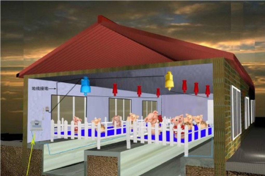 Pig pens are to be wired with cables and dischargers to generate an electric field, which is believed to purify air. Photo: Professor Liu Binjiang