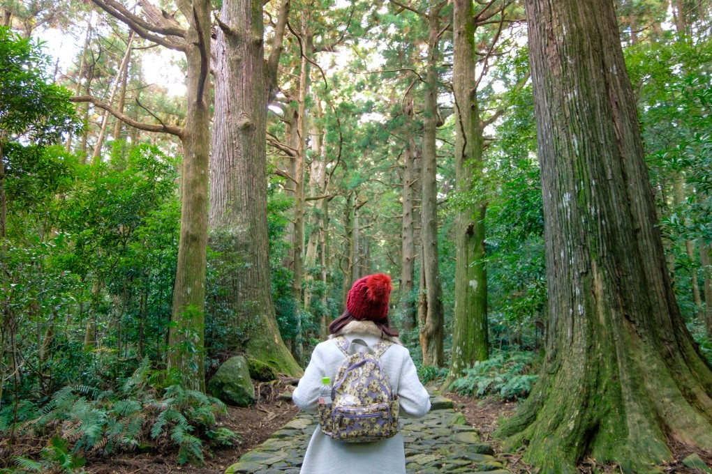 In Japanese, ‘ki’ can mean both tree and wood. If words have different nuances in the same language, do words used to describe emotions vary across different languages too, researchers asked. Photo: Shutterstock