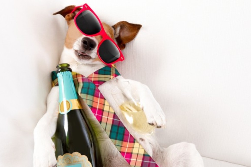 Boozing always seems like a good idea, but if you're suffering the after-effects, these international cures can help.