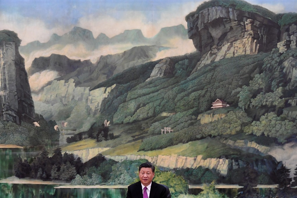 Chinese President Xi Jinping warned officials a year ago to expect “black swans” and “grey rhinos”. Photo: AFP