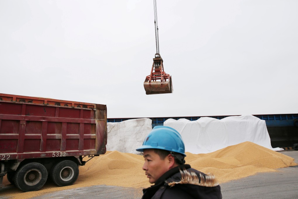 China has been looking to diversify soybean imports. Photo: Reuters